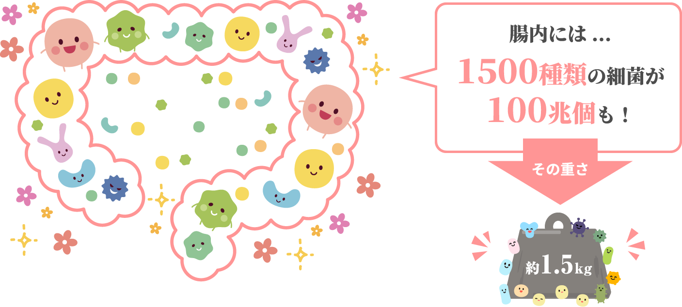腸内には...1500種類の細菌が100兆個も！その重さ約1.5kg