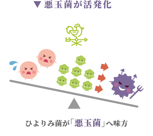 悪玉菌が活発化